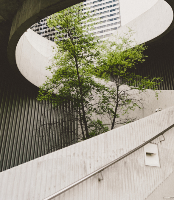 alexander-abero-OypnYfdiQgg-unsplash alexander-abero-OypnYfdiQgg-unsplash